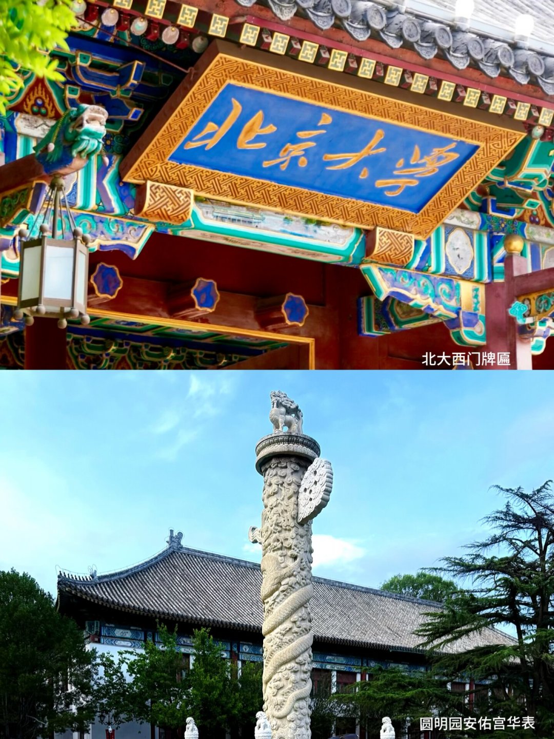 花近四千报的北大研学营,孩子只看清了校门:暑假最后一周,带娃进北大的钱别乱花