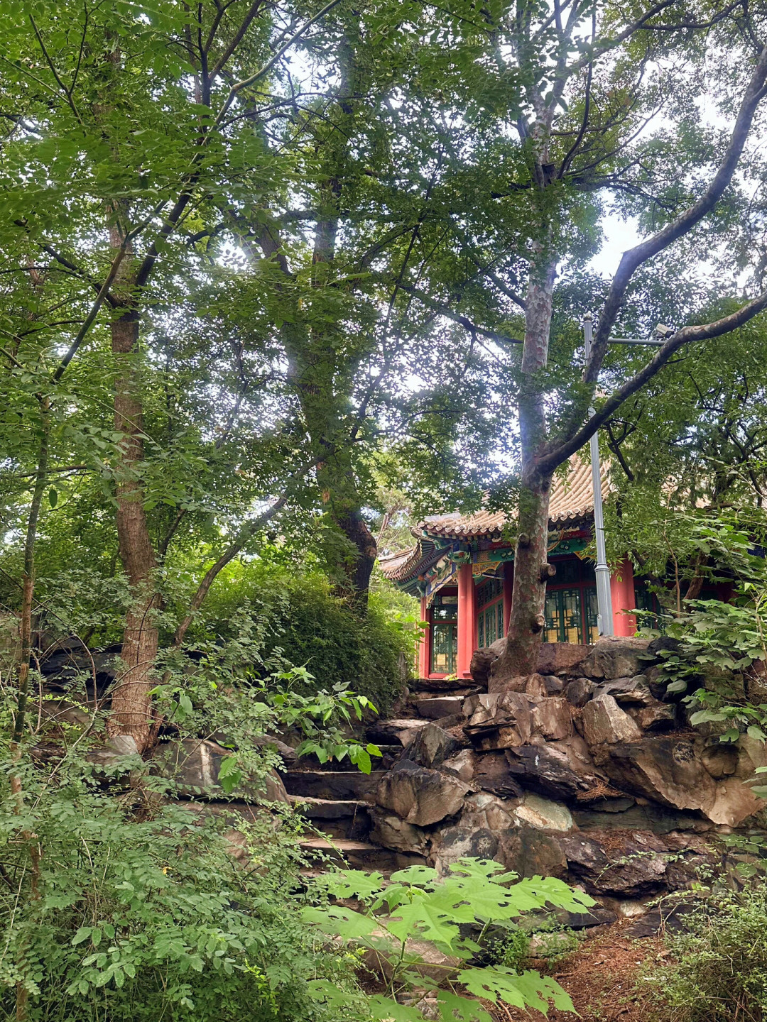花近四千报的北大研学营,孩子只看清了校门:暑假最后一周,带娃进北大的钱别乱花
