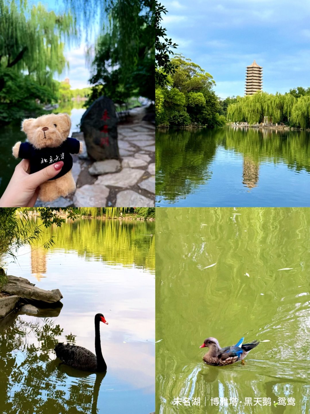花近四千报的北大研学营,孩子只看清了校门:暑假最后一周,带娃进北大的钱别乱花