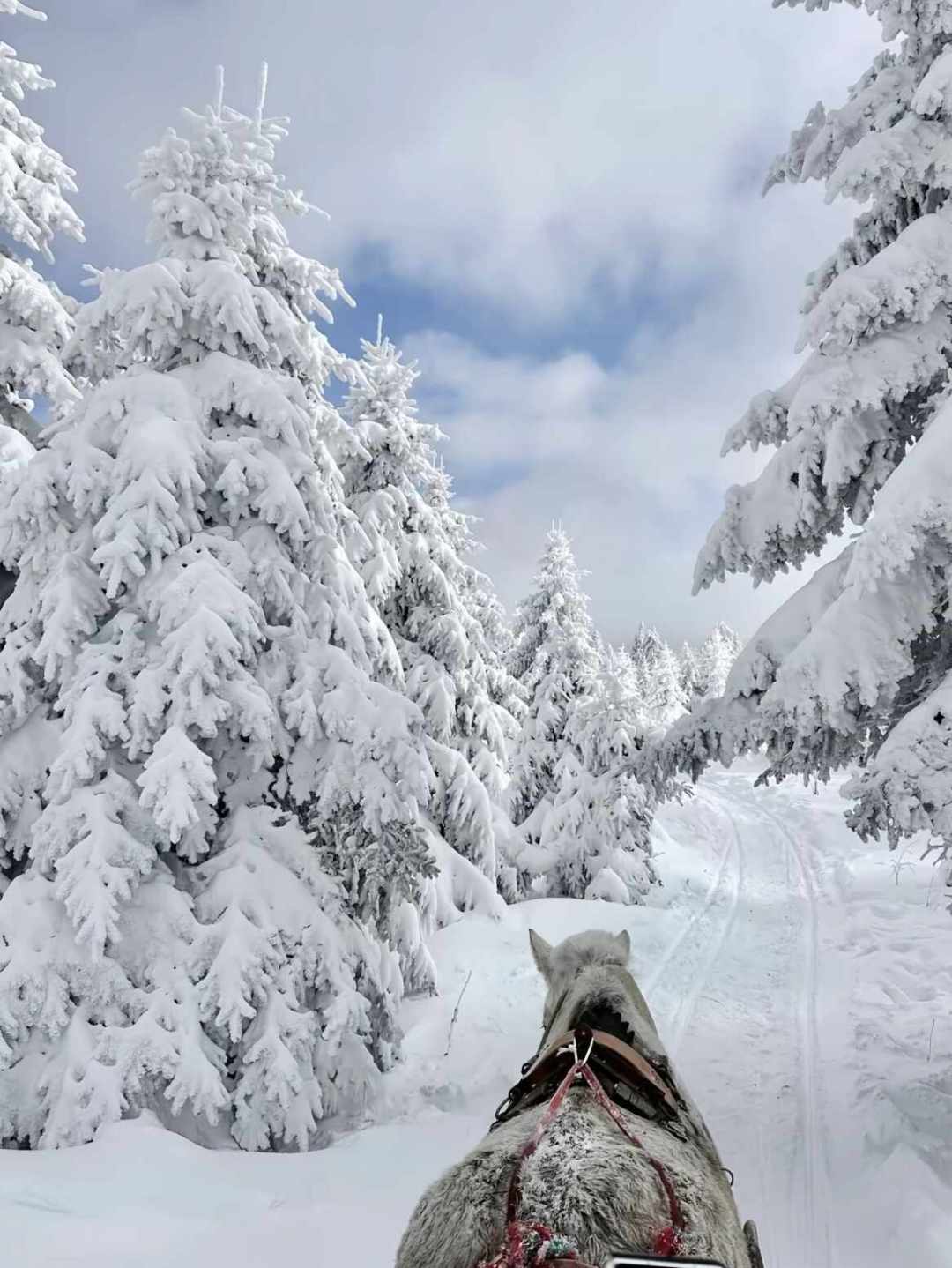有人说冰爪没必要,有人差点滑坠送命:雪季前,把雪谷—雪乡穿越一次说清