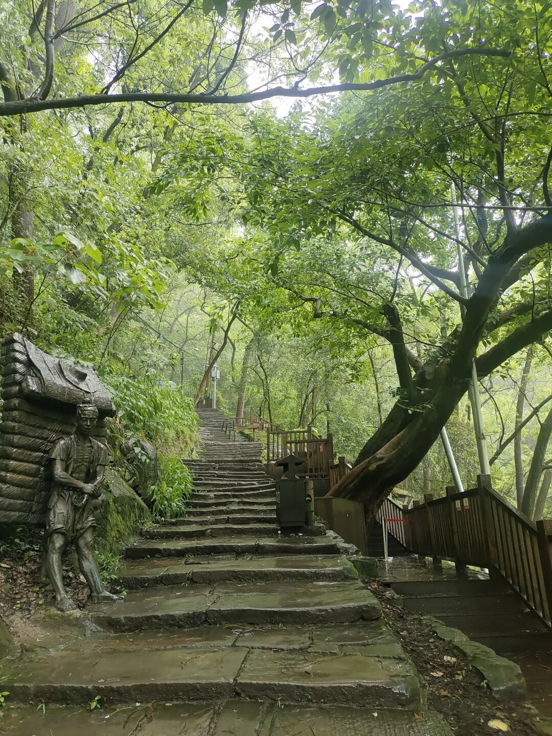 秋老虎还没退,黄葛古道值得去:0元进山、全程树荫,这周末带娃前先看懂这篇