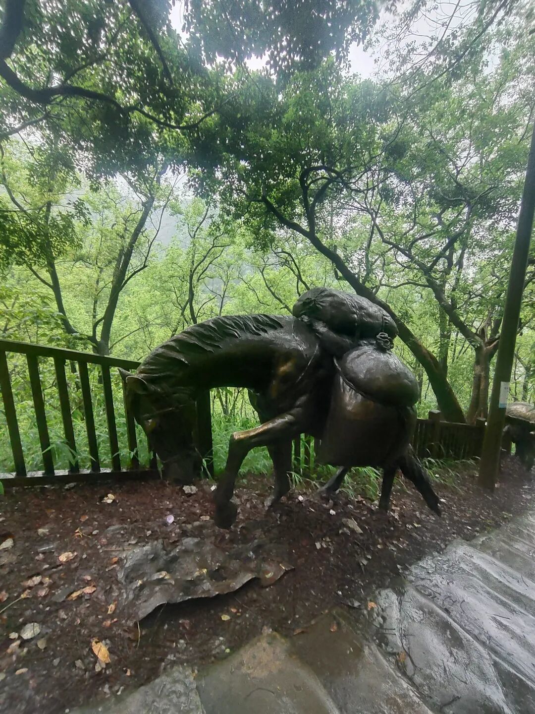 秋老虎还没退,黄葛古道值得去:0元进山、全程树荫,这周末带娃前先看懂这篇