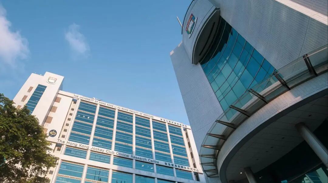 入学港大前,先算清这笔住宿账:校外单间最高1.2万港币/月,四年差距接近20万