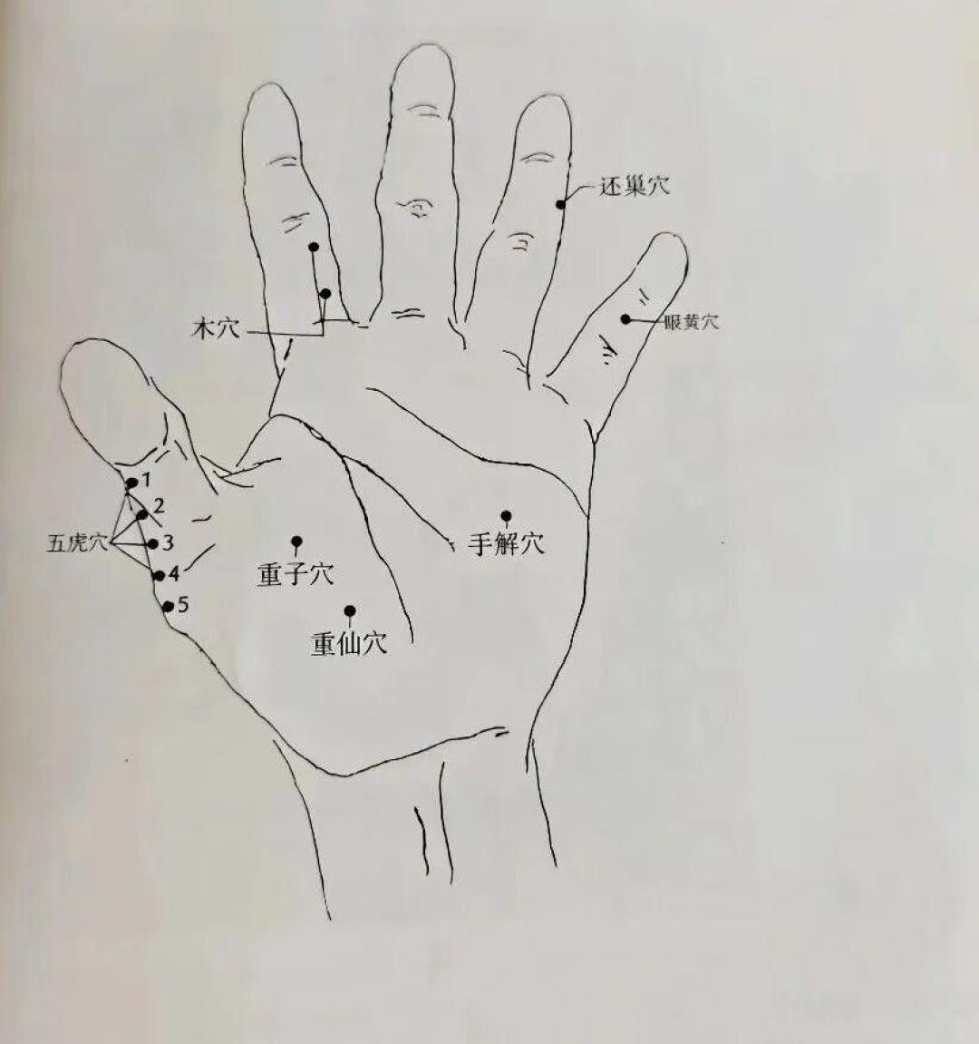 学董氏奇穴,先别急着交学费:免费课为什么都是