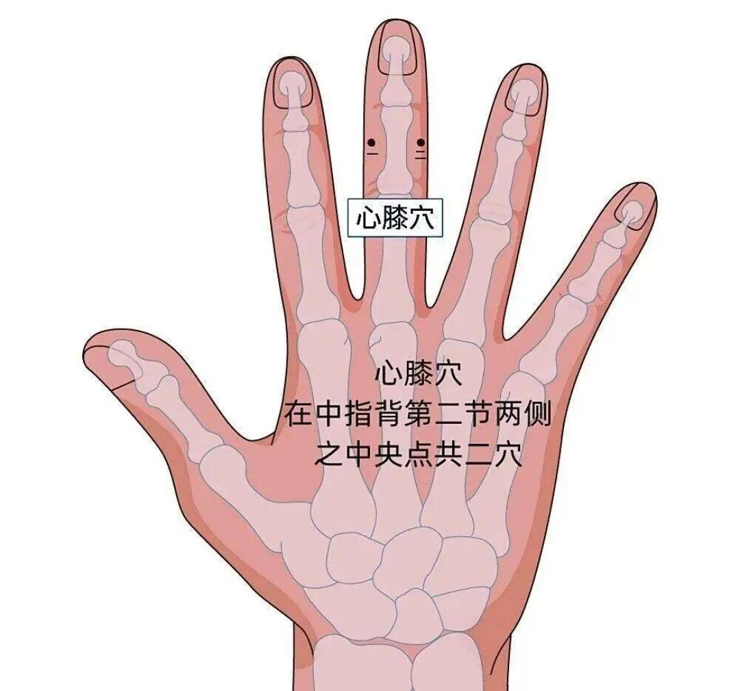 学董氏奇穴,先别急着交学费:免费课为什么都是