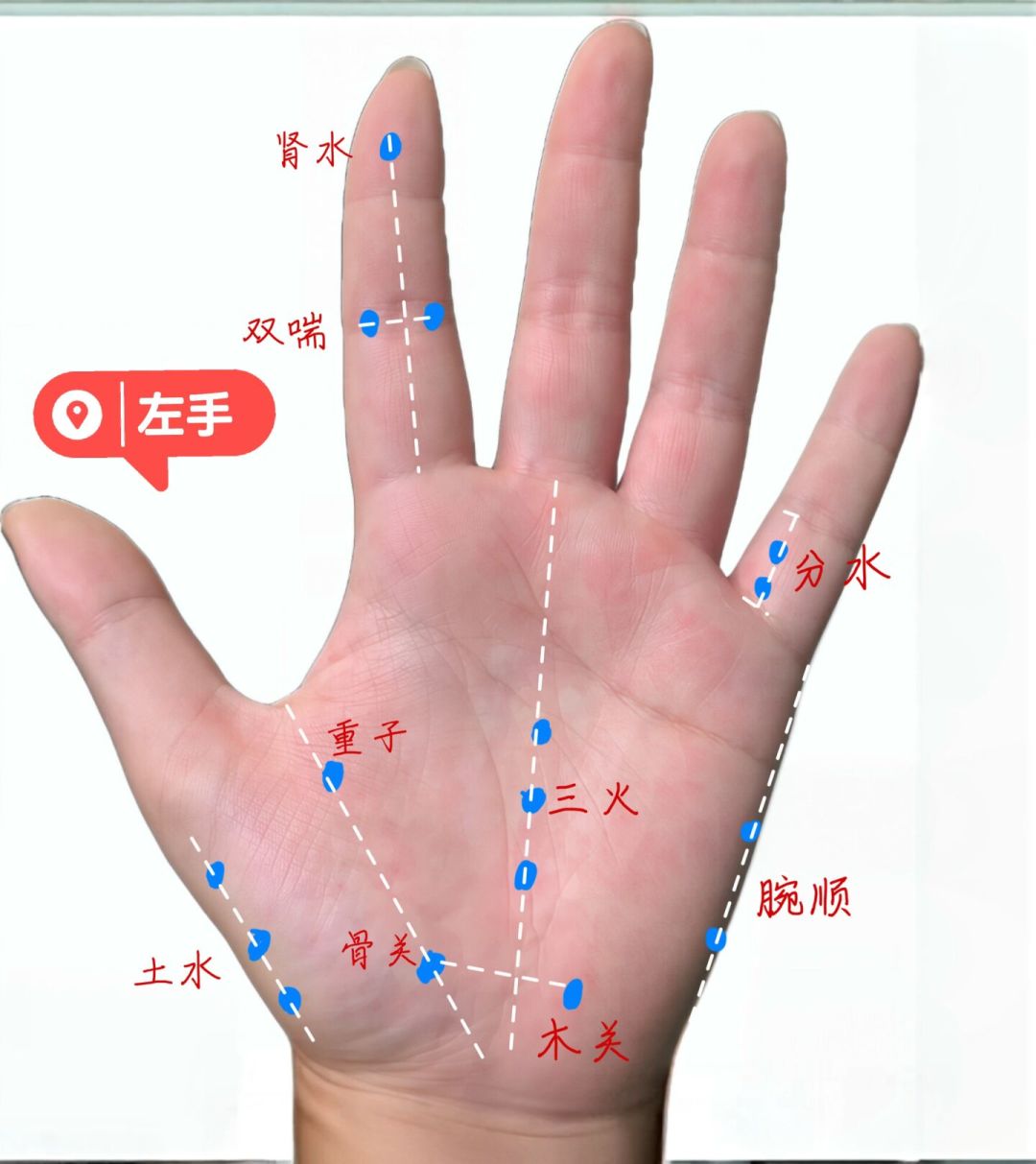 学董氏奇穴,先别急着交学费:免费课为什么都是