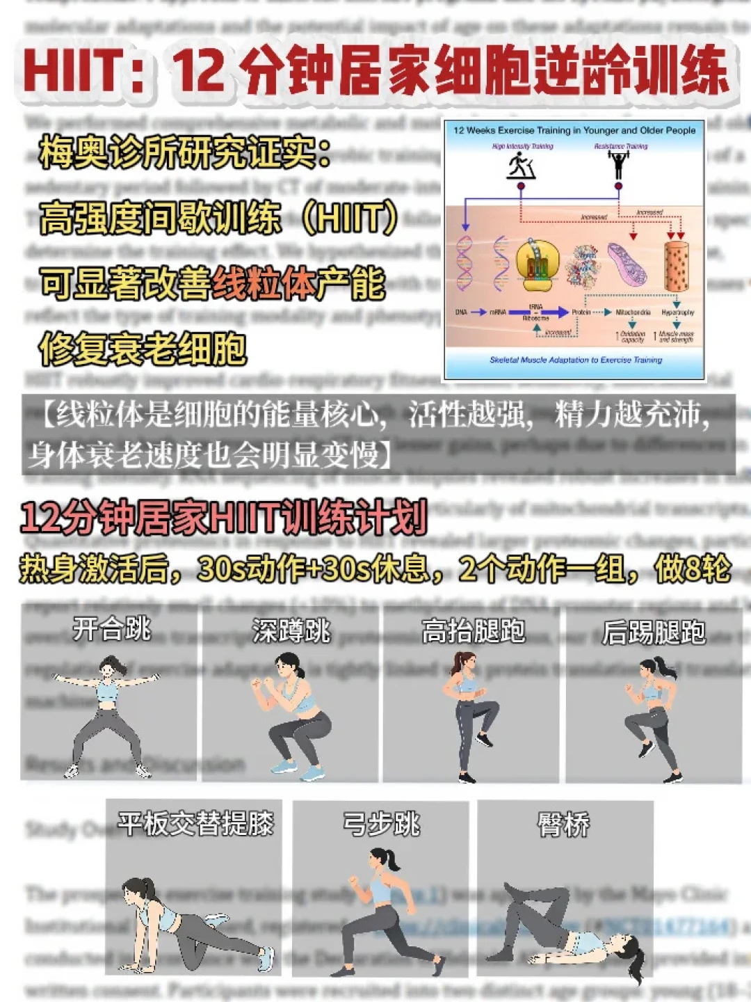 刷屏的“梅奥:真正改善女性衰老的运动只有2种”,我挖出原论文修正3处,整理出居家执行方案