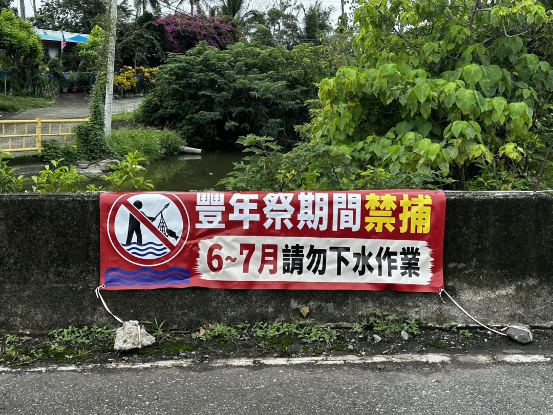 阿美族丰年祭进入收官:“迎宾日”规则、舞圈禁忌和明年的行程,一次讲清