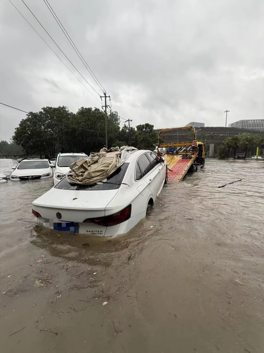 白海豚刚泡了江浙沪一街车,沙德尔27号到:对完6级定损、保险法和北京金融法院判例,泡水车车主三种人三种答案