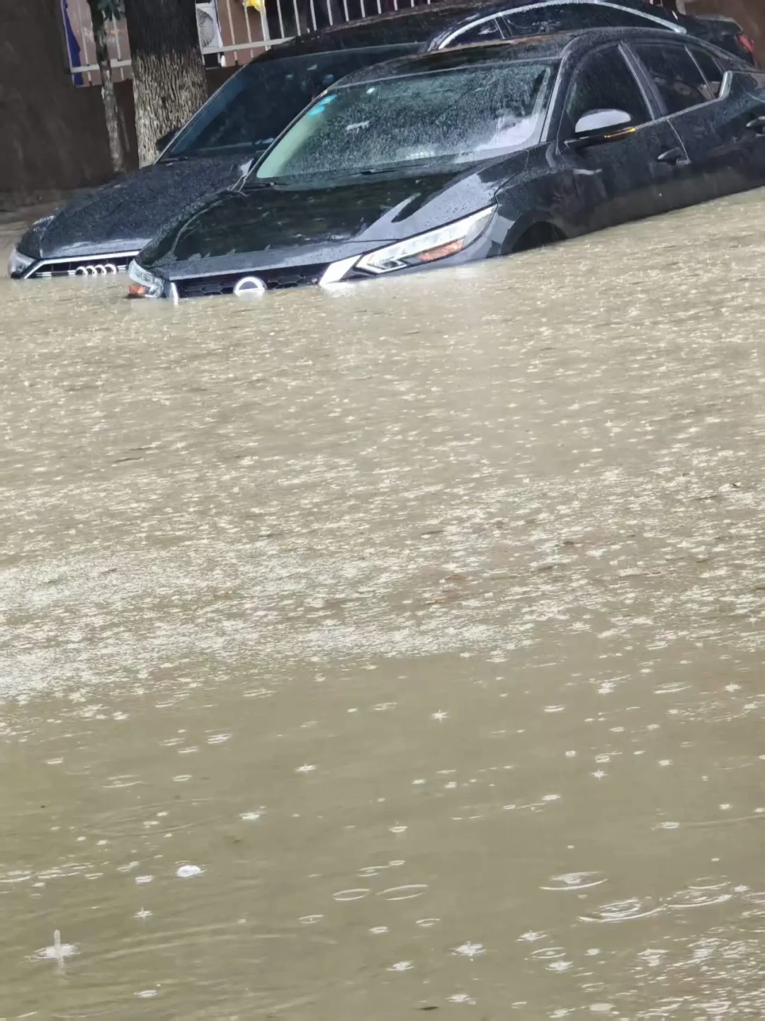 31800元的奥迪Q5是泡水车:翻新工艺能做到九成新,但这三个地方藏不住