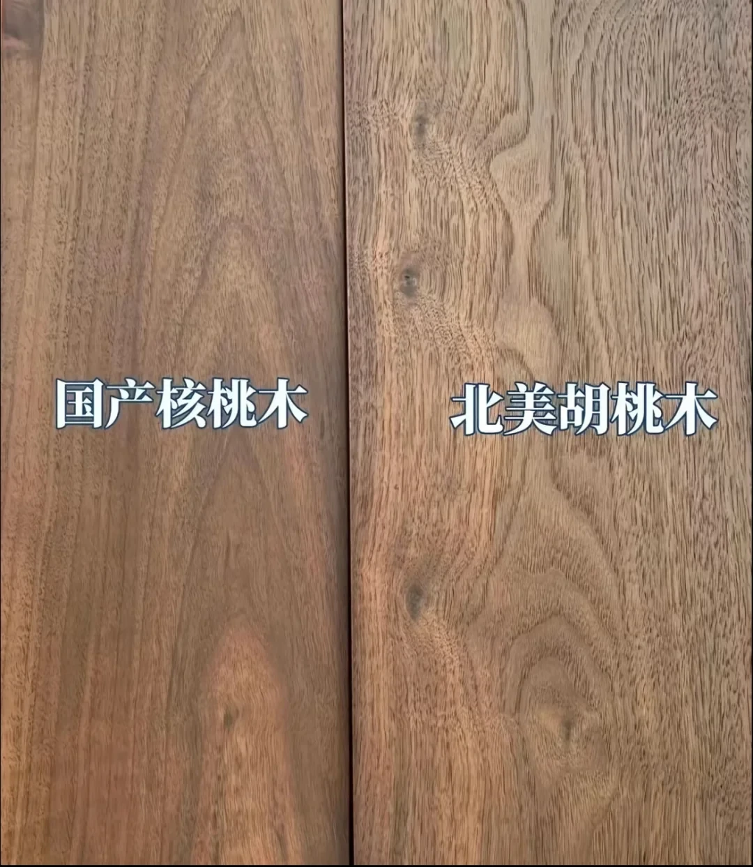 「老板,麻烦帮忙看下,这块是不是北美黑胡桃?」评论区全是求鉴定,我翻完四个平台80多篇帖子,整理出七种「胡桃」的木种图鉴和一份买木料对价表