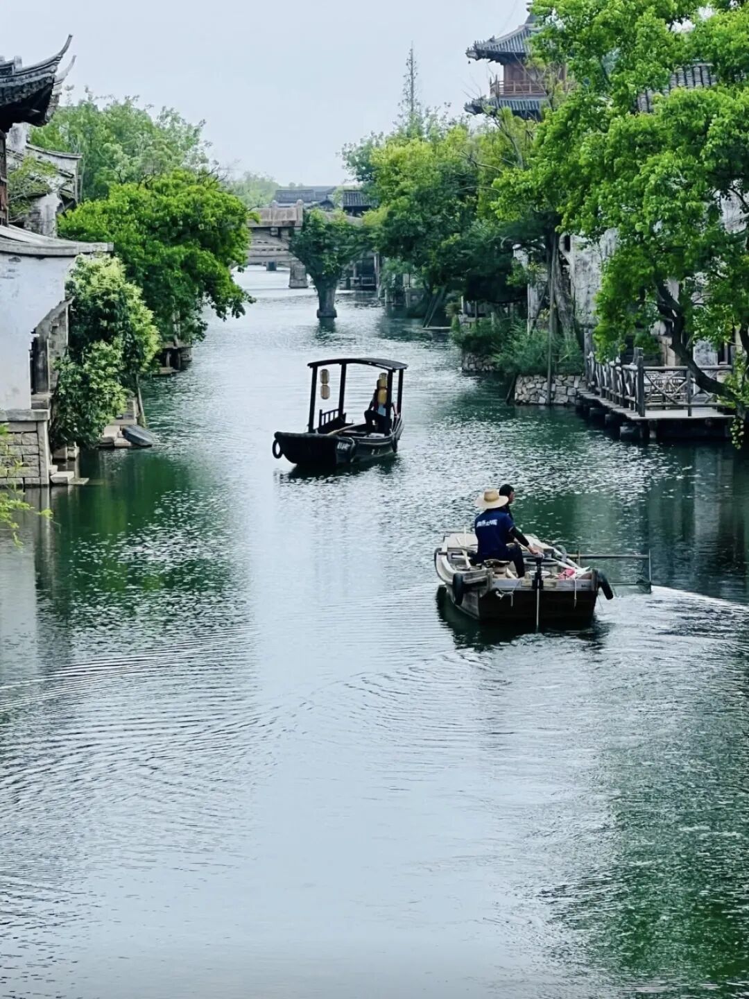 盐官观潮,最怕的不是人挤人,是白跑一趟:观潮季将至,把这笔“时间账”算明白
