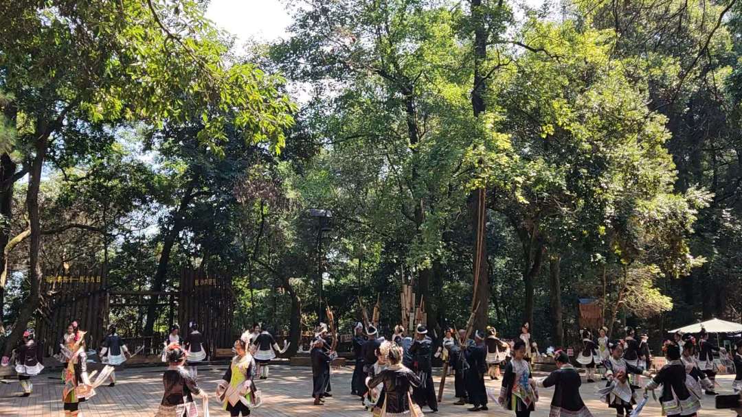 别只看演给游客的芦笙舞:黔东南原生吃新节,正当时