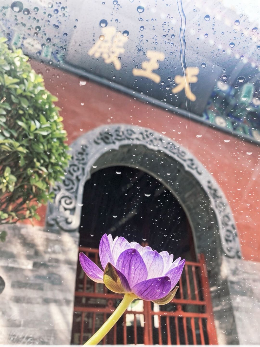 明天中元节,法源寺盂兰盆法会迎来最隆重一天:8月末参观避跑空指南