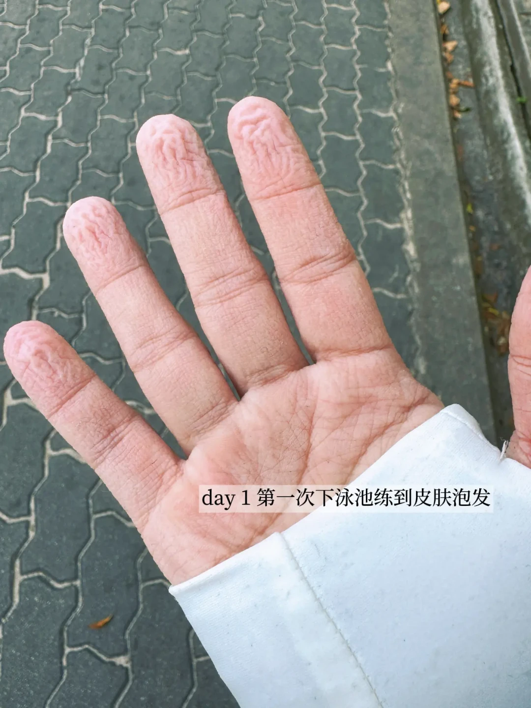 看完网上20多篇