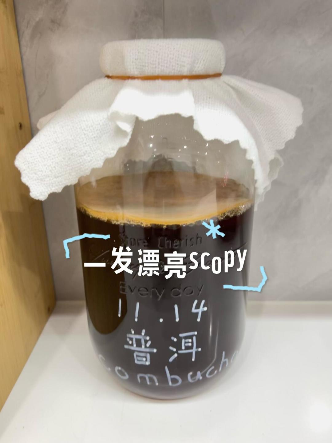 康普茶又爆了,但它其实就是80年代的红茶菌:6.9元买来喝,还是1元自己泡?