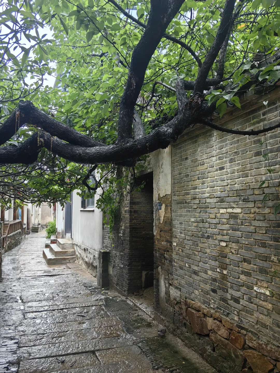 明月湾古村“暂停开放”12天:古码头被淹、超强台风逼近,值得等吗?