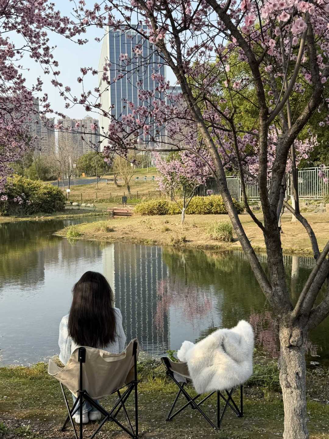 露营椅是你在营地待得最久、也最容易买错的装备:先想怎么搬,再想怎么坐