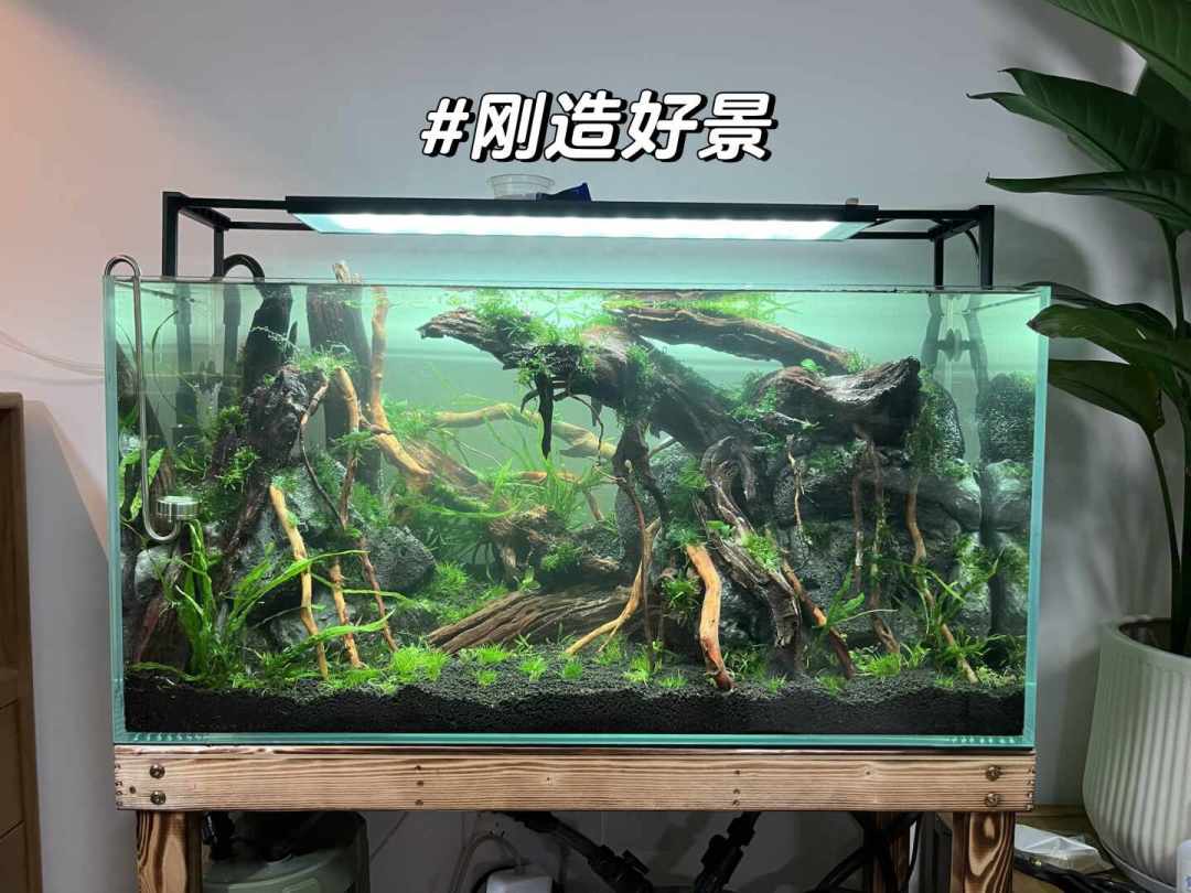 同样叫