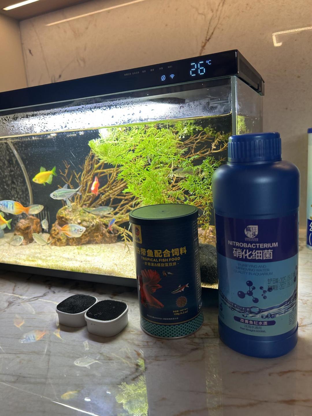 「新手快乐缸」二手跌到一百多块:翻完三个平台20多篇长期使用报告,收之前先验这5处