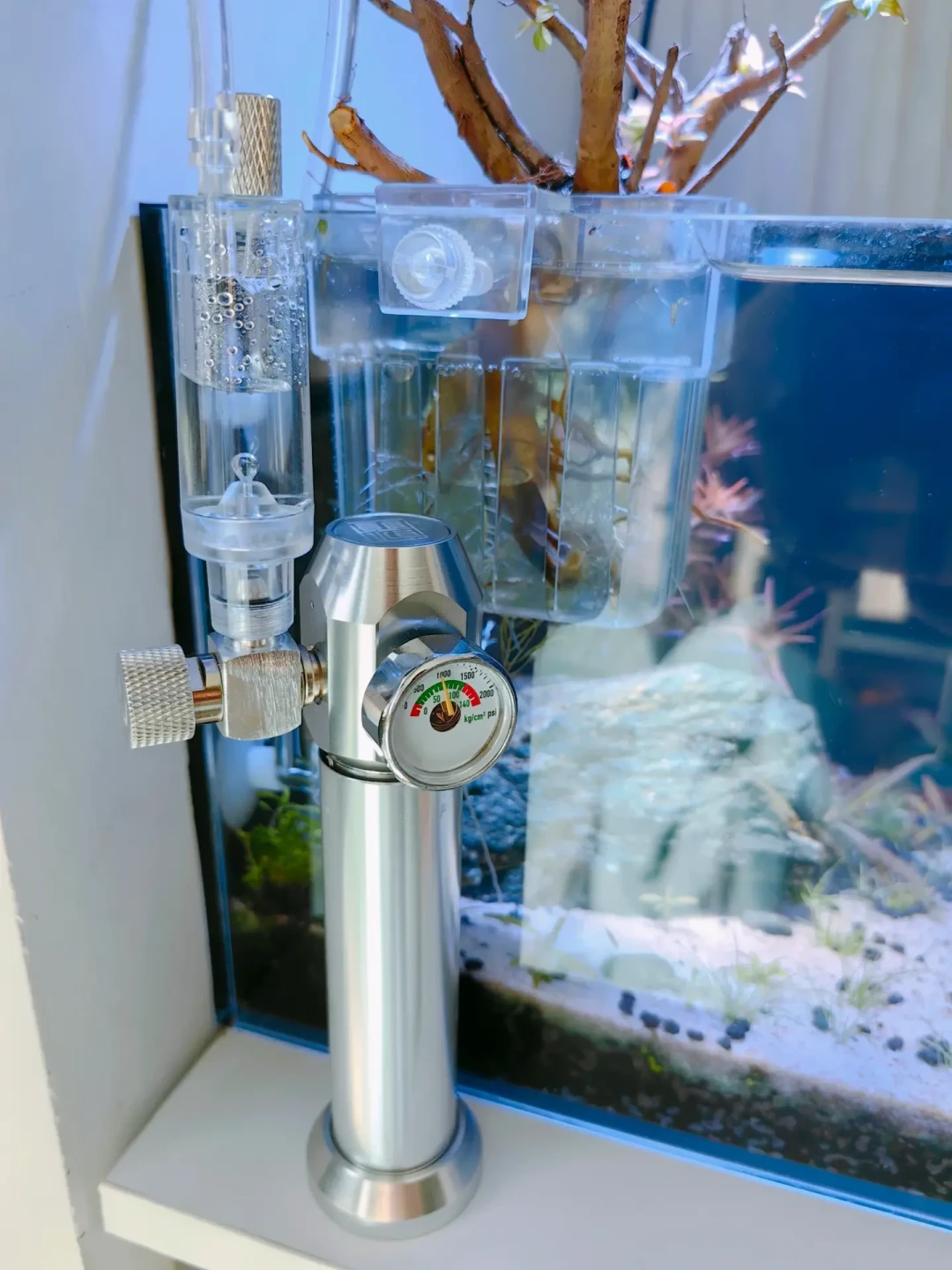 泡腾片被骂智商税，灭火器被捧成省钱天花板：翻完60多条草缸供碳记录，六条路的钱和坑都在这张表里