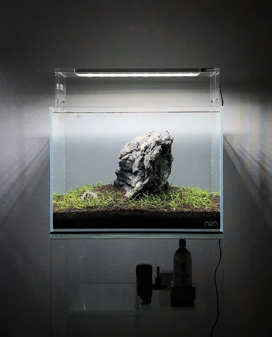泡腾片被骂智商税，灭火器被捧成省钱天花板：翻完60多条草缸供碳记录，六条路的钱和坑都在这张表里