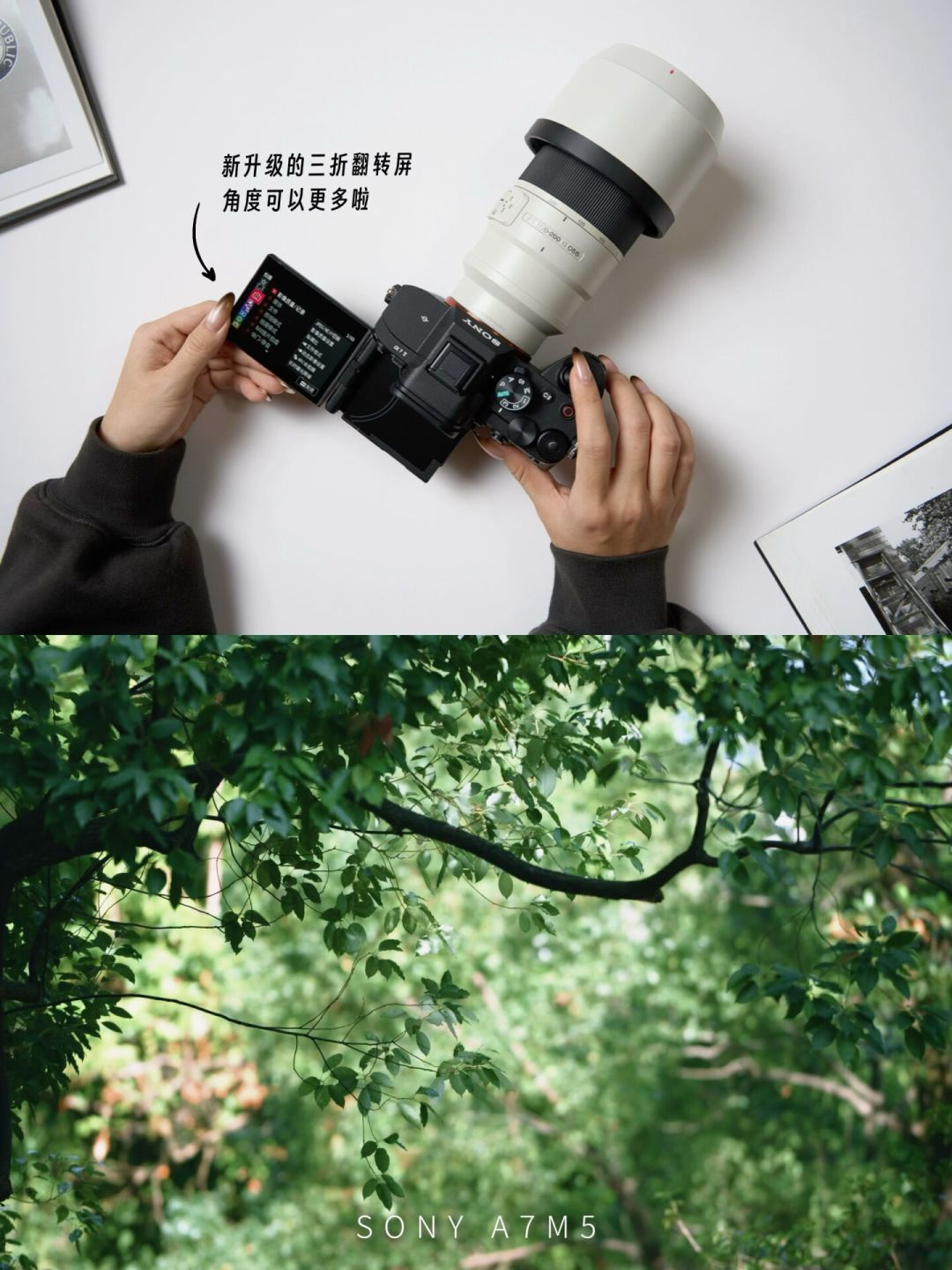 BW万赞帖全在A7M5+2470GM2,千元装备也能出好片:翻完几百条漫展装备帖,四档预算、钱先花哪、哪些坑要避,说清楚