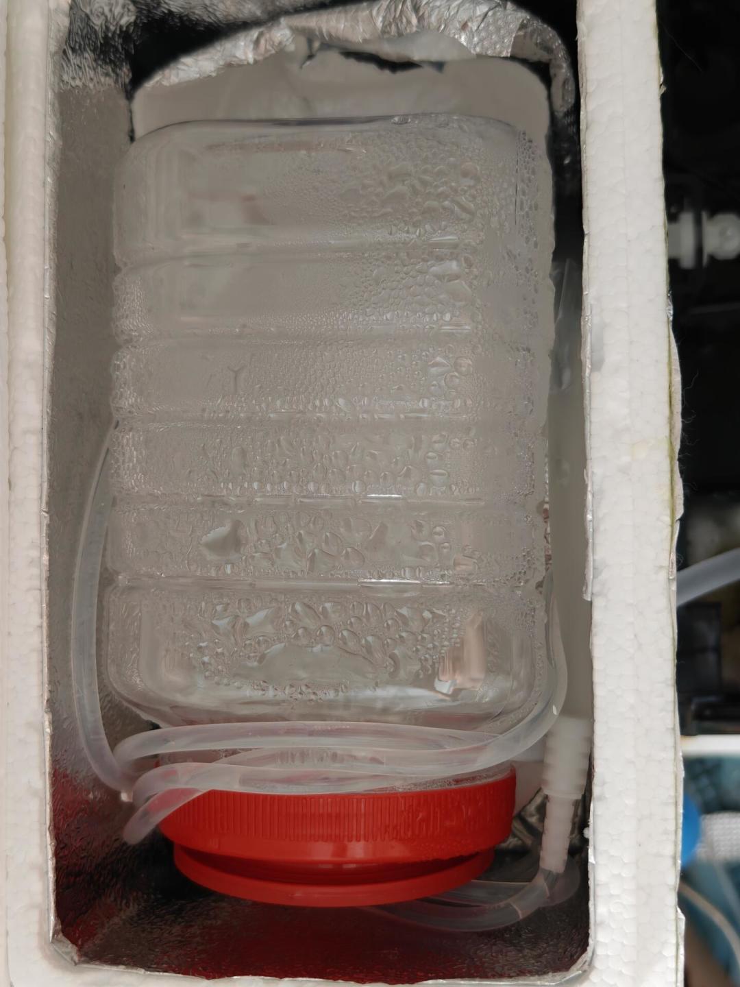 一瓶冻水到底能给鱼缸降几度?算完这笔热容账,就知道该冻几瓶了