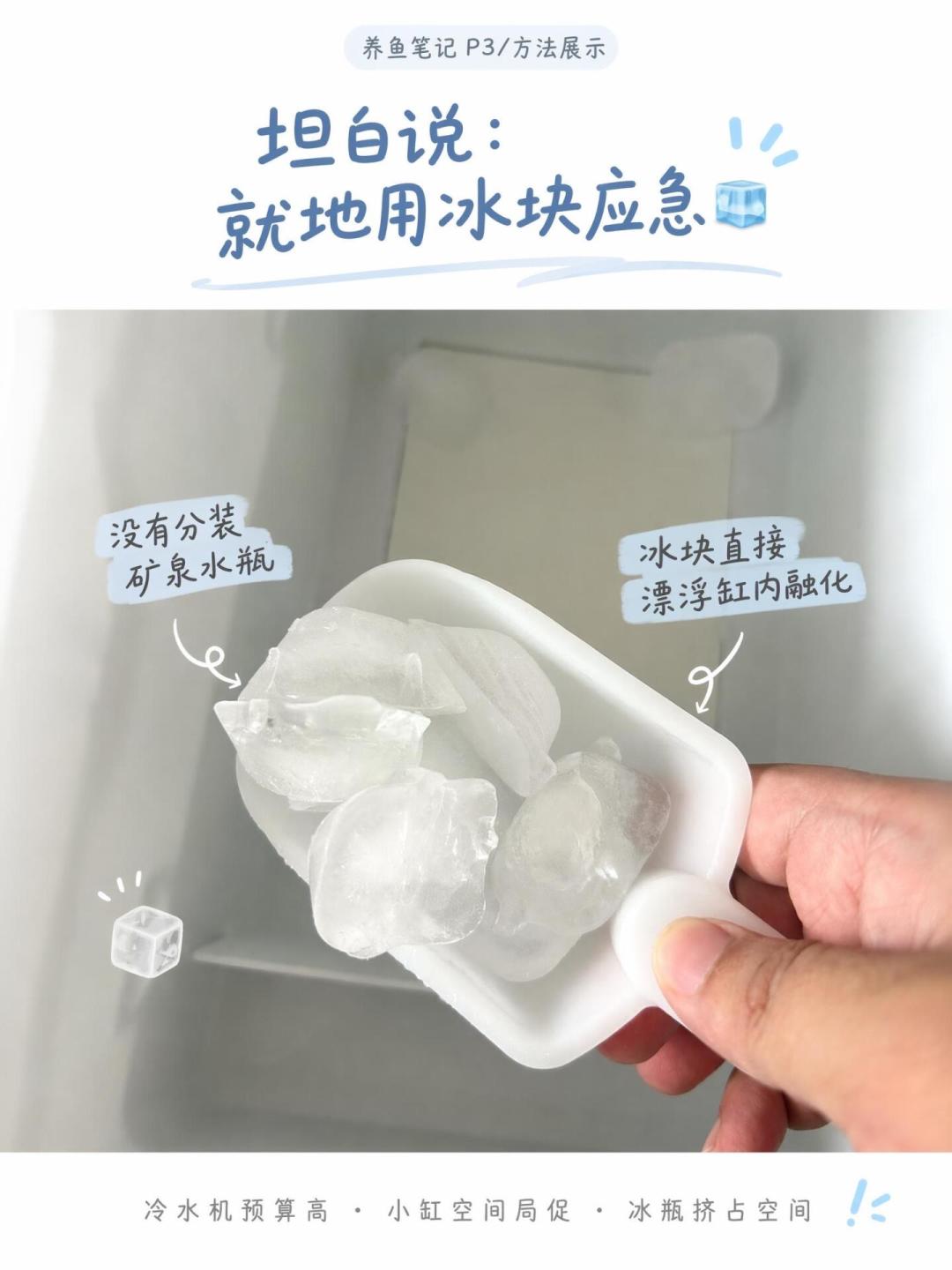 一瓶冻水到底能给鱼缸降几度?算完这笔热容账,就知道该冻几瓶了