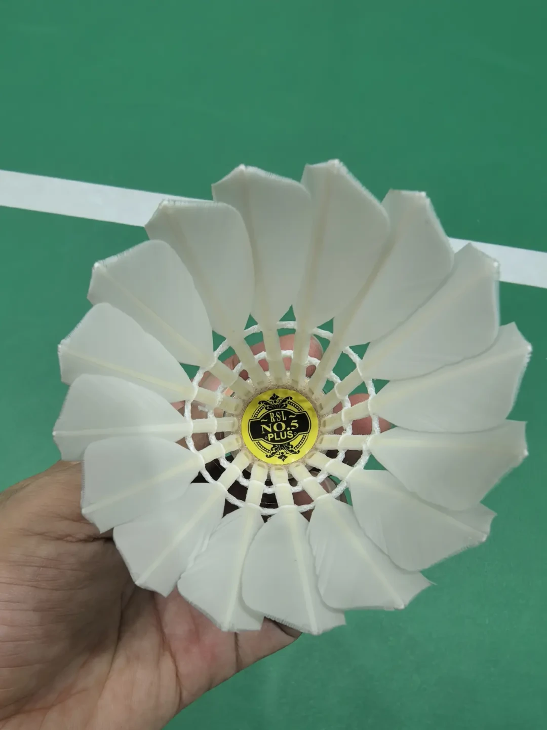 亚狮龙Plus被骂“带p的都是个屁”后,我把4款Plus的全网实测对了一遍:只有一款能放心上车