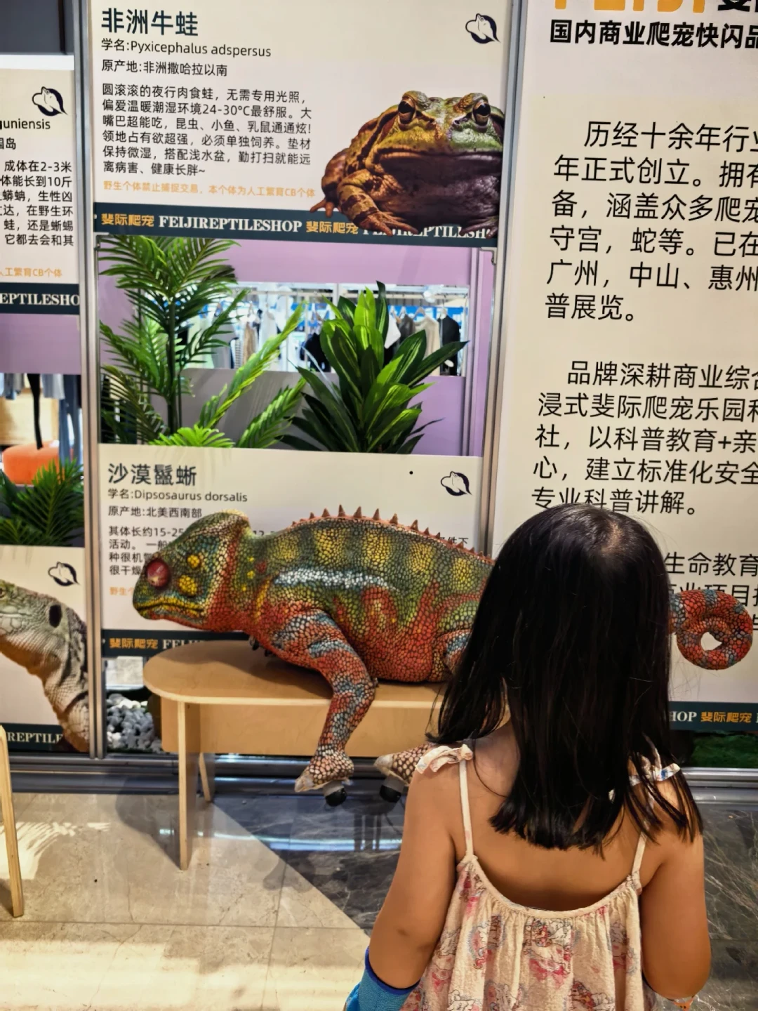 当孩子闹着要养蛇和蜥蜴，别急着答应或拒绝：先看这三步“试养”路线和4个问题再决定