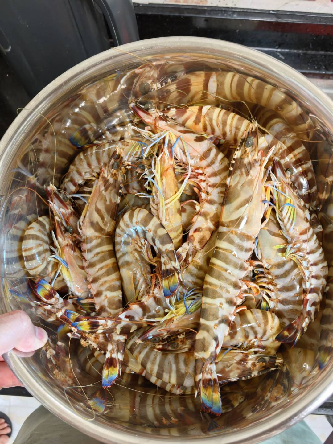 “潮汕九月”突然刷屏:机票便宜是真的,海鲜降价是真的,“温度适宜”是带货文案