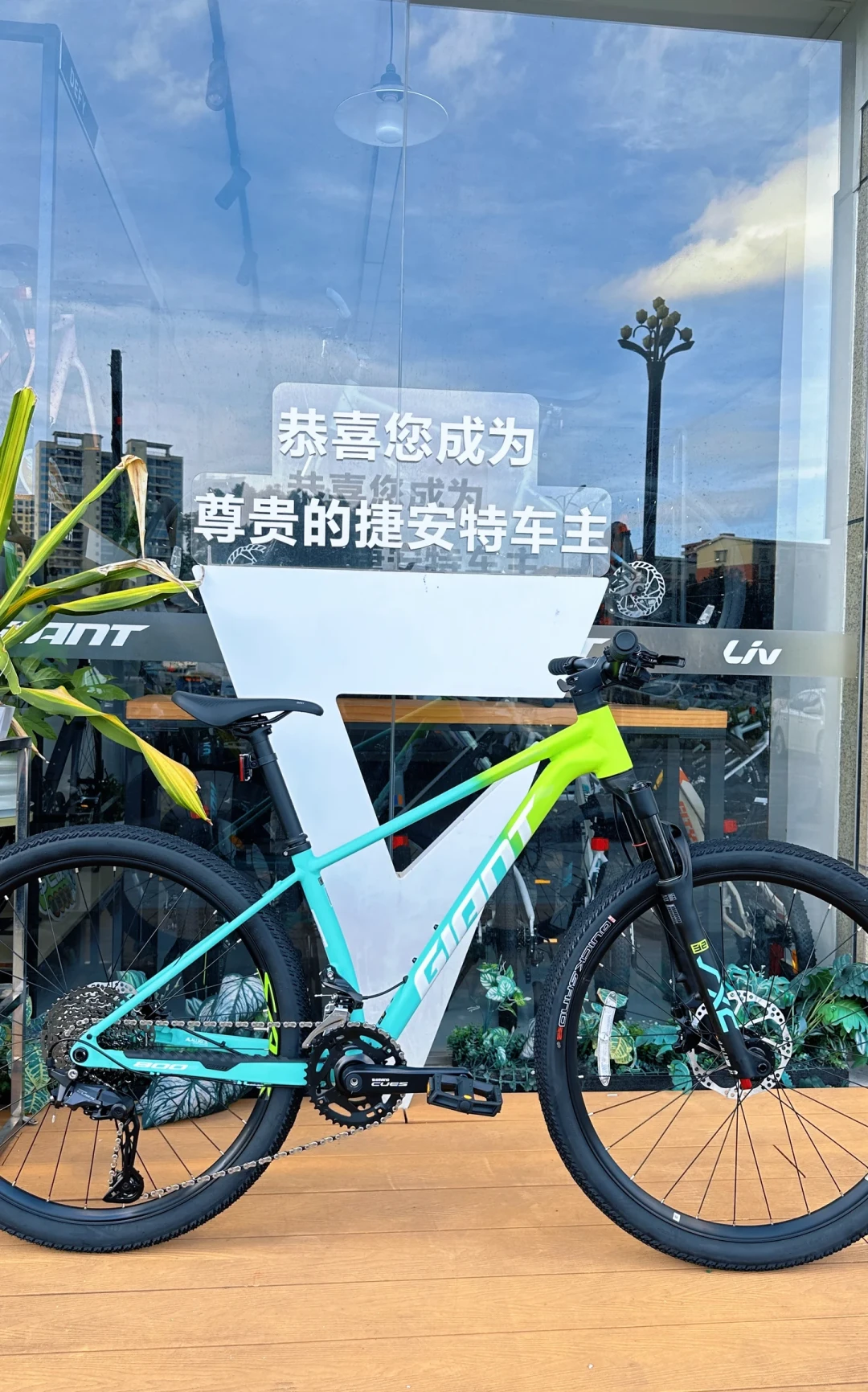 2027款把桶轴油碟卷到2000块:翻完新款变动帖和吵架帖,第一辆山地车按三档价位挑