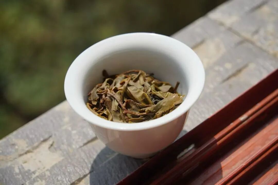 缅甸茶进口暴增904%,正冒充“云南普洱”流入市场:买茶前先记4个鉴别点