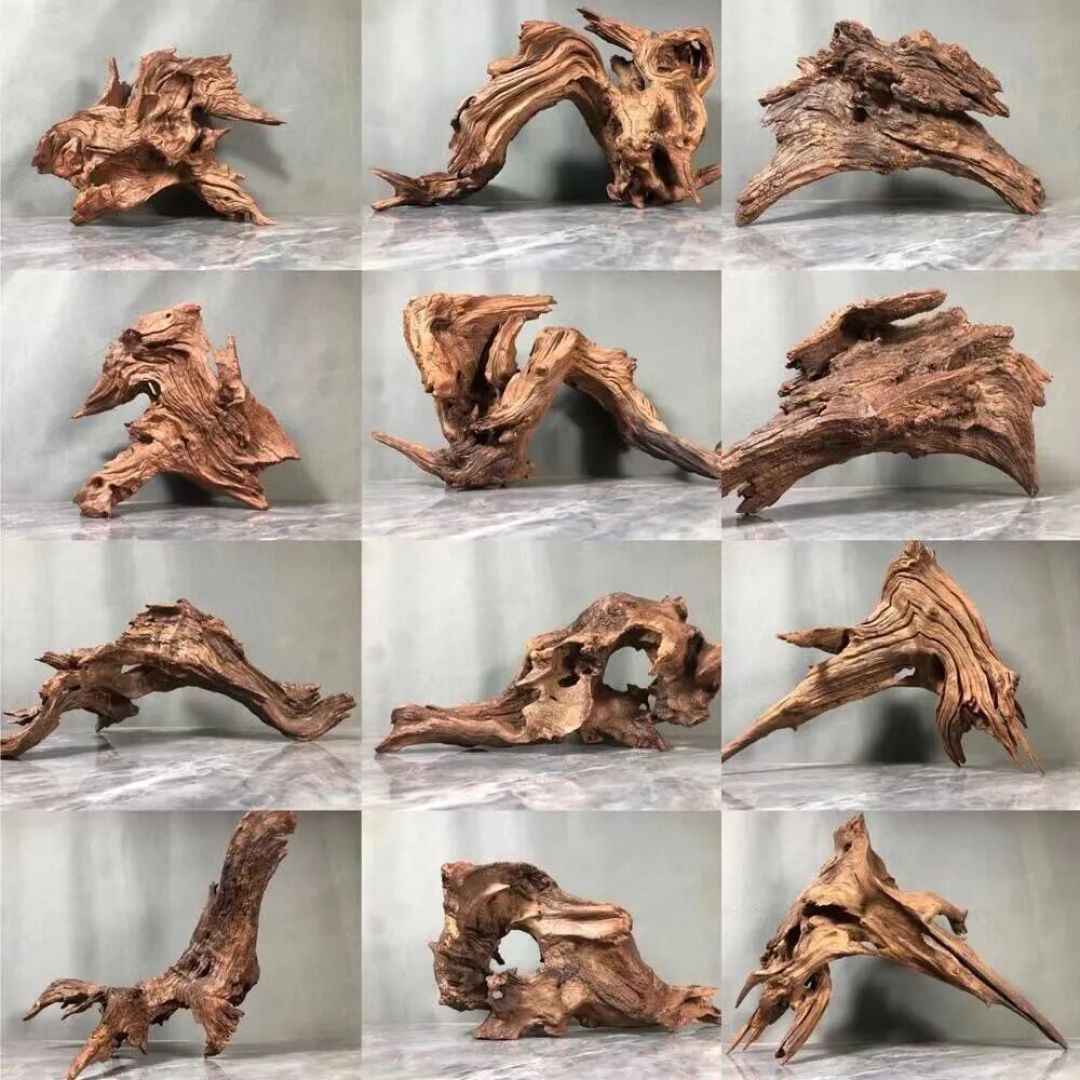 沉木入缸水变茶,煮了8遍还黄水:翻完30多条全网记录,沉木怎么选、怎么处理、怎么不白花,都在这了