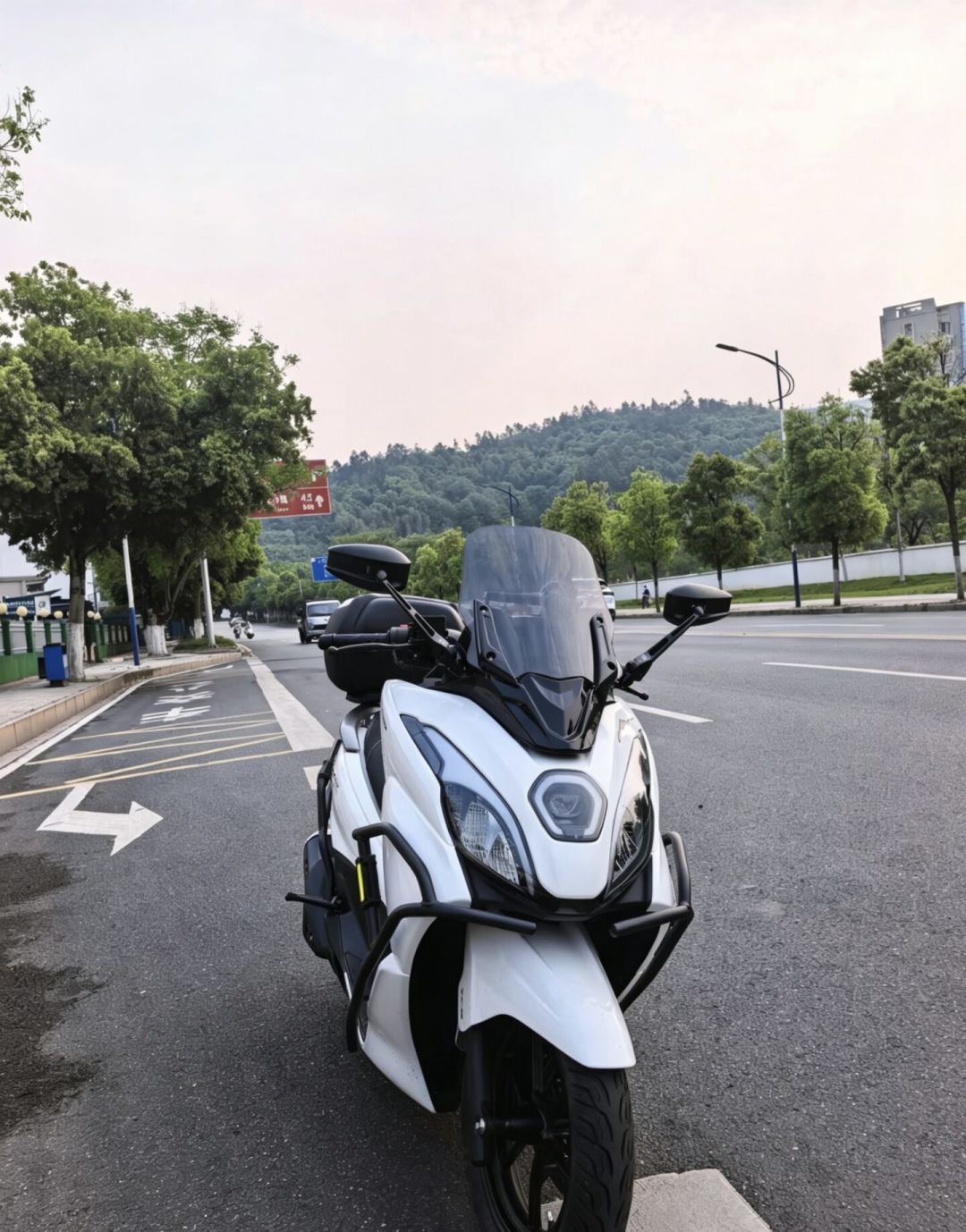 两天4条