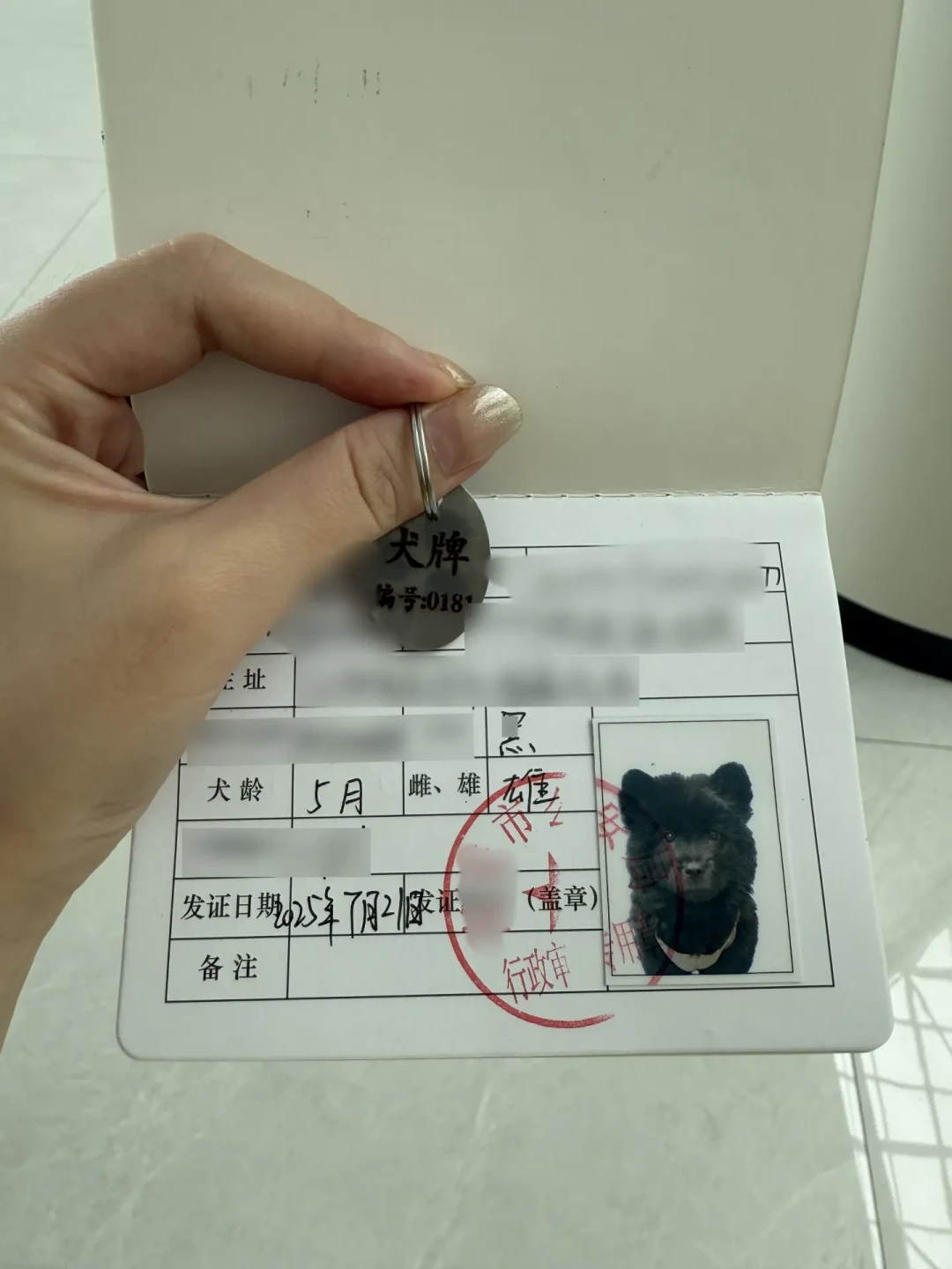 北京养犬条例征求意见还剩一周:都在盯35cm限高取消,真正收紧的条款在后面