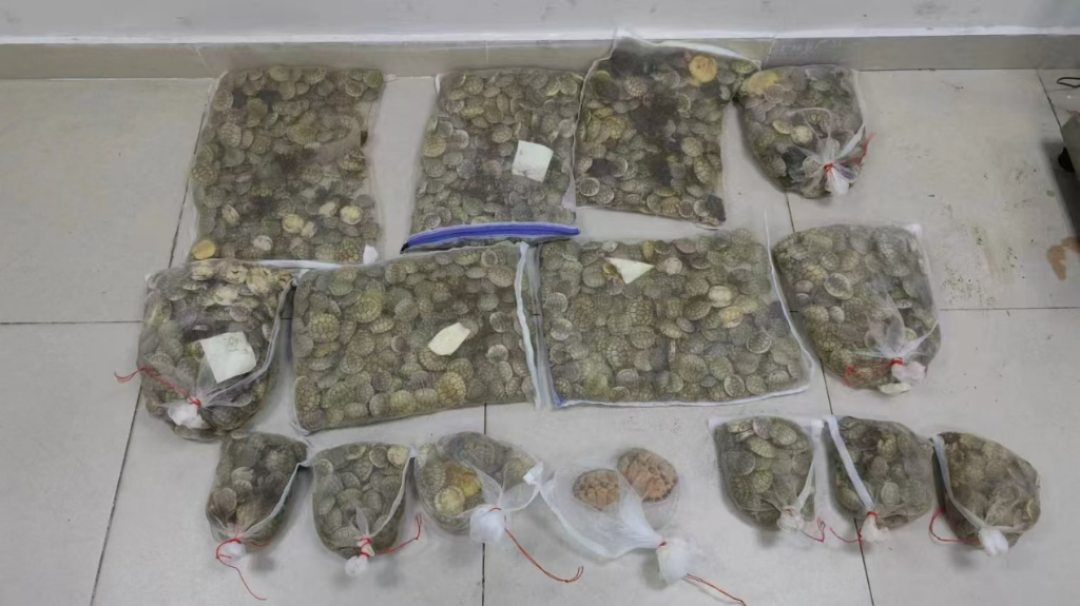 佛山那只被踩的龟上了热搜,骂完之后,想给孩子买龟的家庭该看清这三笔账