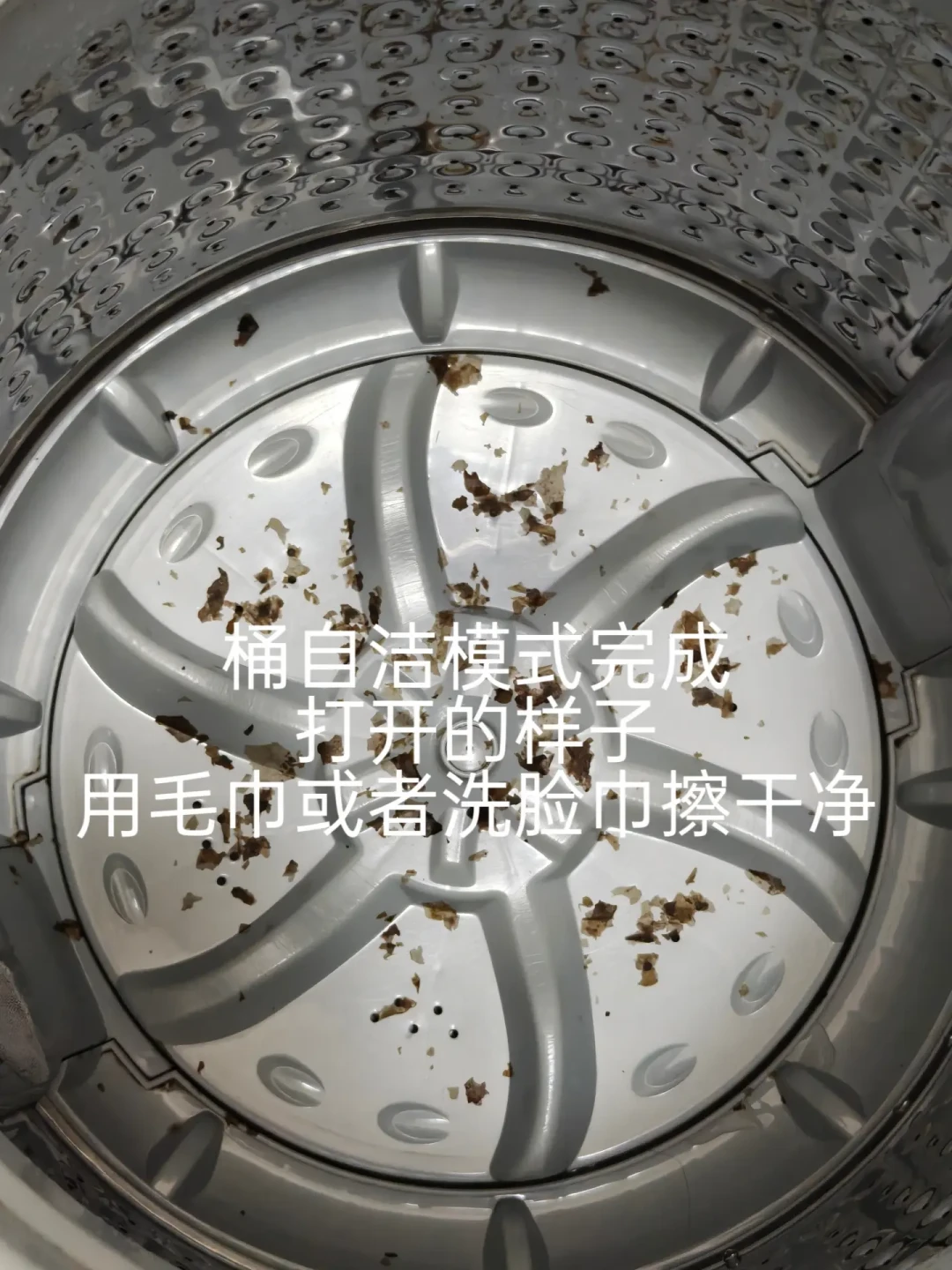 胶圈发黑、衣服洗完发闷:夏末洗衣机发霉投诉集中,我翻了全网20多篇实测帖,除霉不看谁的方法贵,看“脏到哪一层”