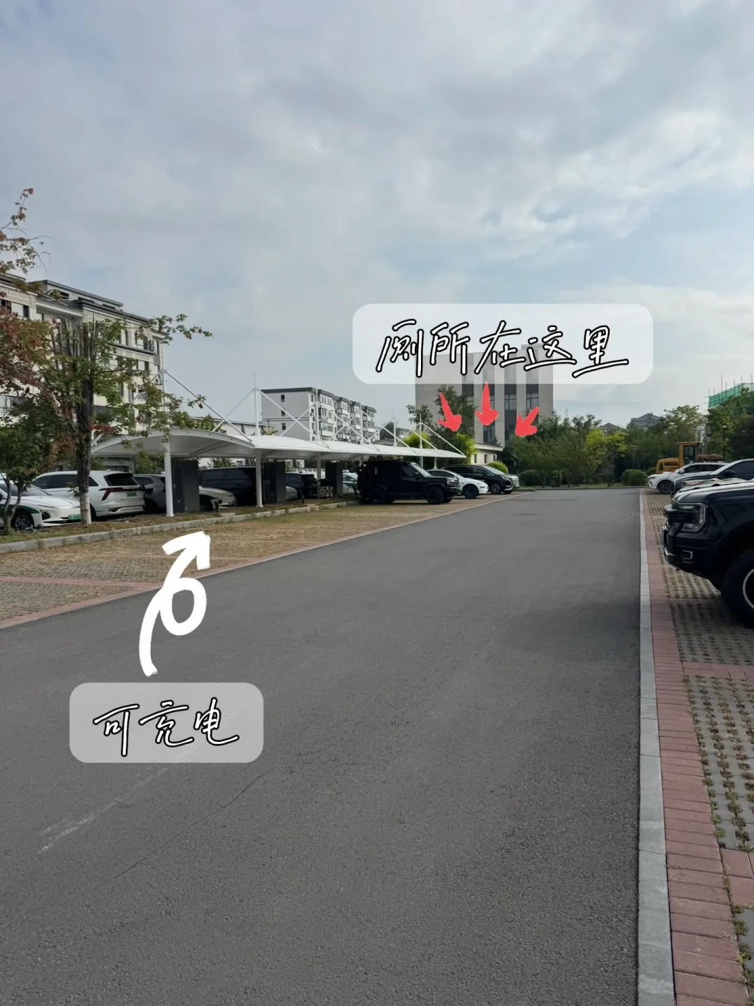 国庆开床车去大兴安岭追秋?大概率只能捡到落叶:今年