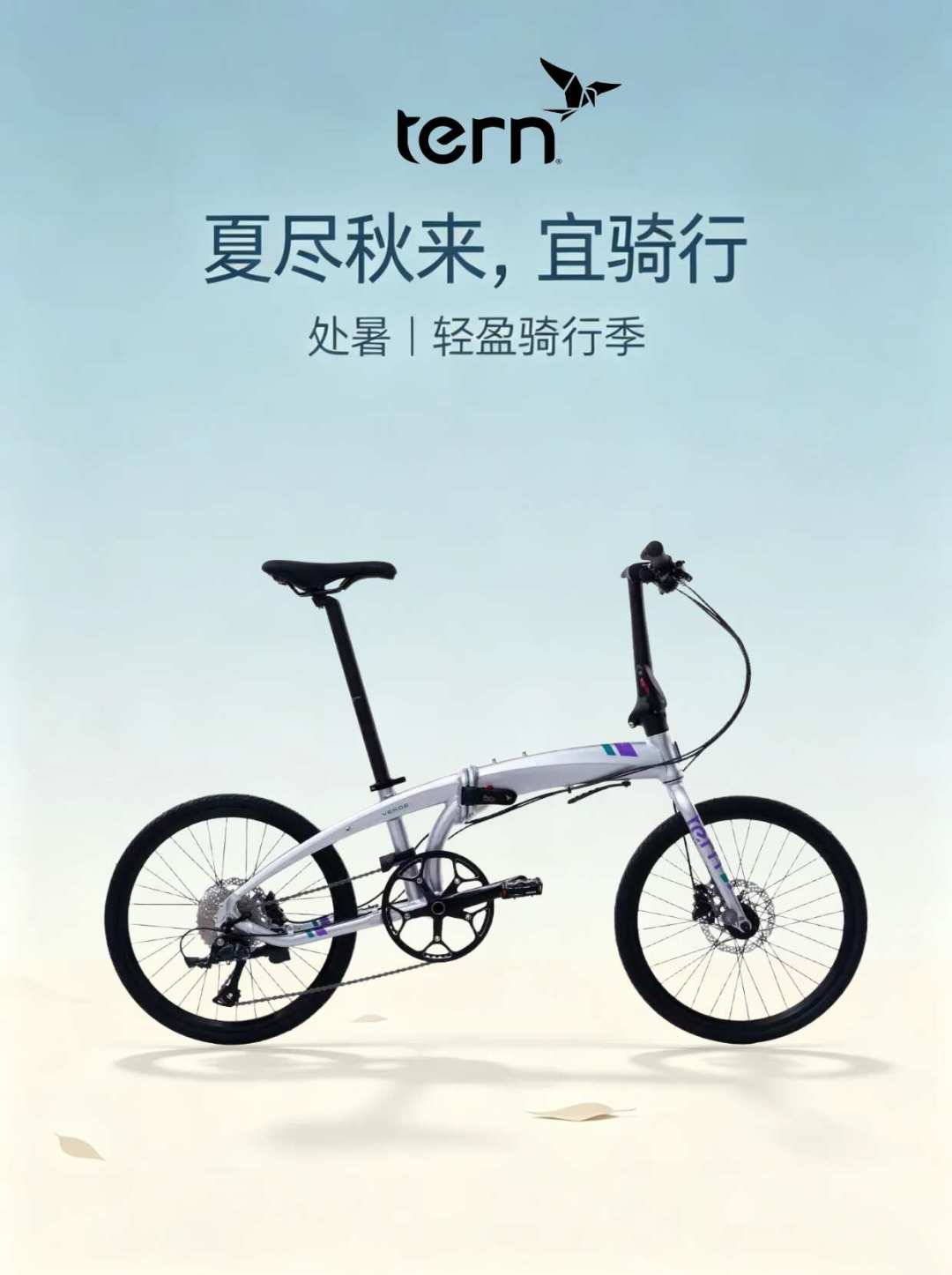 发布三个月,燕鸥三款新车活成了三种样子:R9在走量,Verge R9憋着价,M10静悄悄到店——9月的预算,该在哪一站上车
