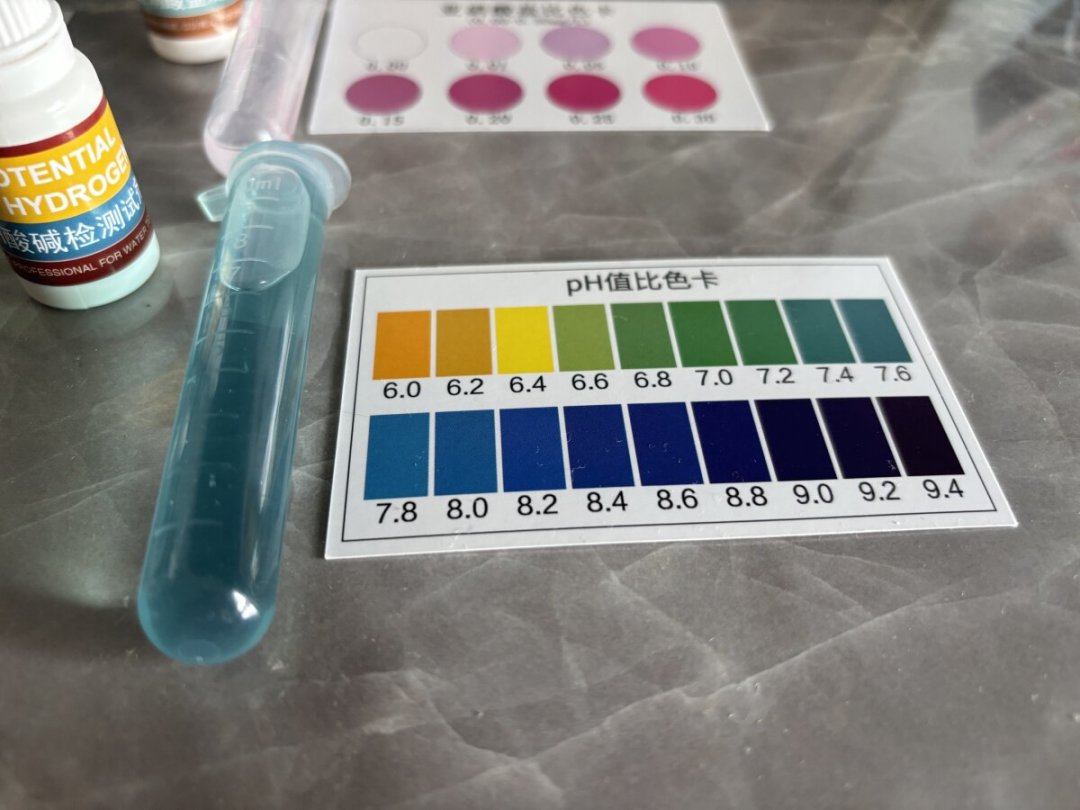养水不是数日子：氨氮和亚硝酸盐没归零之前别下鱼，检测工具怎么选也一次讲清