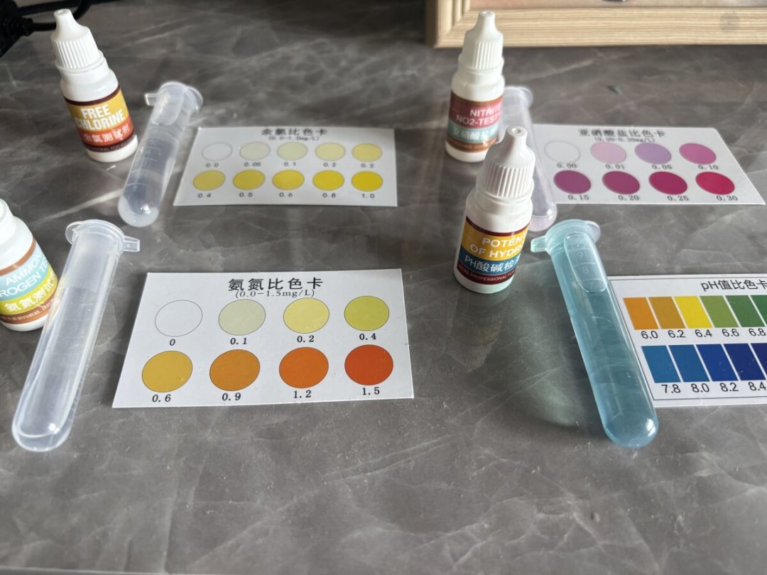 养水不是数日子：氨氮和亚硝酸盐没归零之前别下鱼，检测工具怎么选也一次讲清