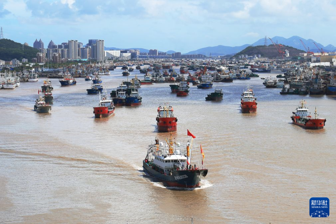 台风“沙德尔”明晚登陆浙闽:珊瑚缸停电时,先倒下的不是珊瑚