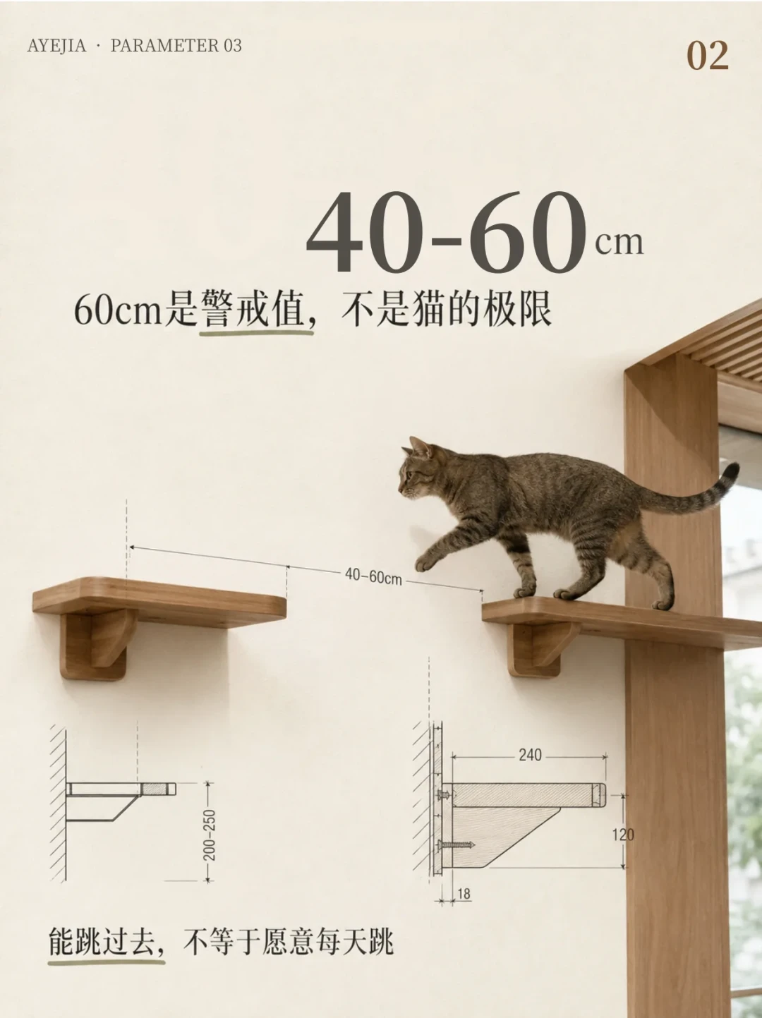 猫墙的“黄金尺寸”是按4-5kg的猫算的:家里有老猫、胖猫、矮脚、幼猫,先改数字再下单