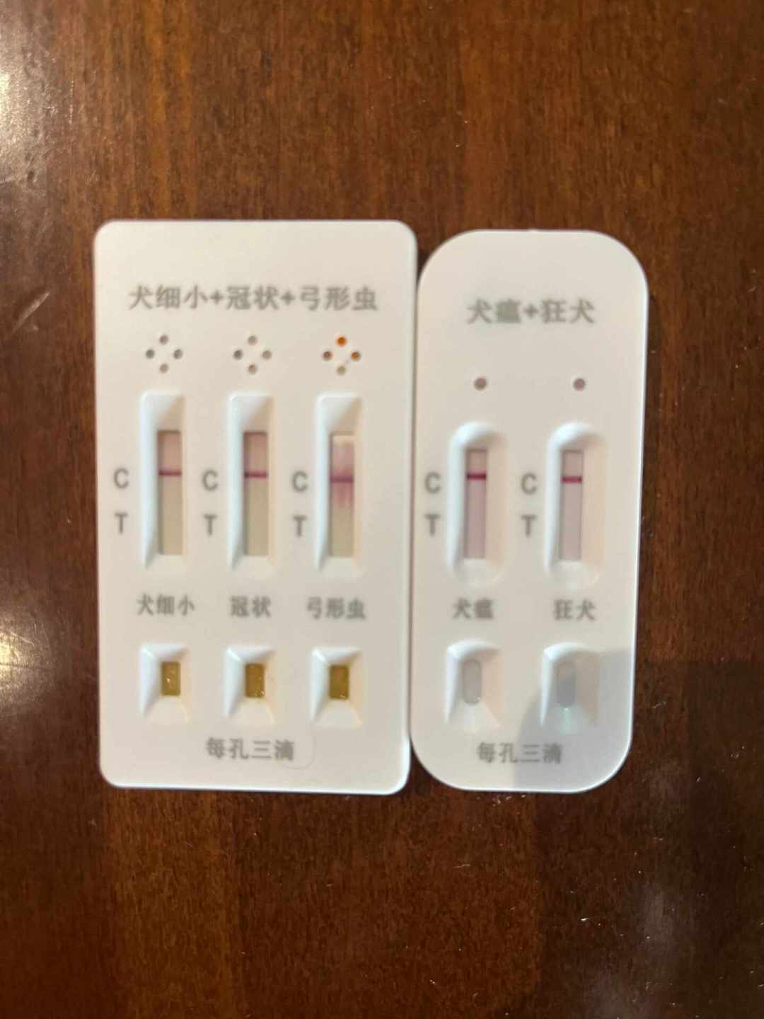 8月我翻了15条