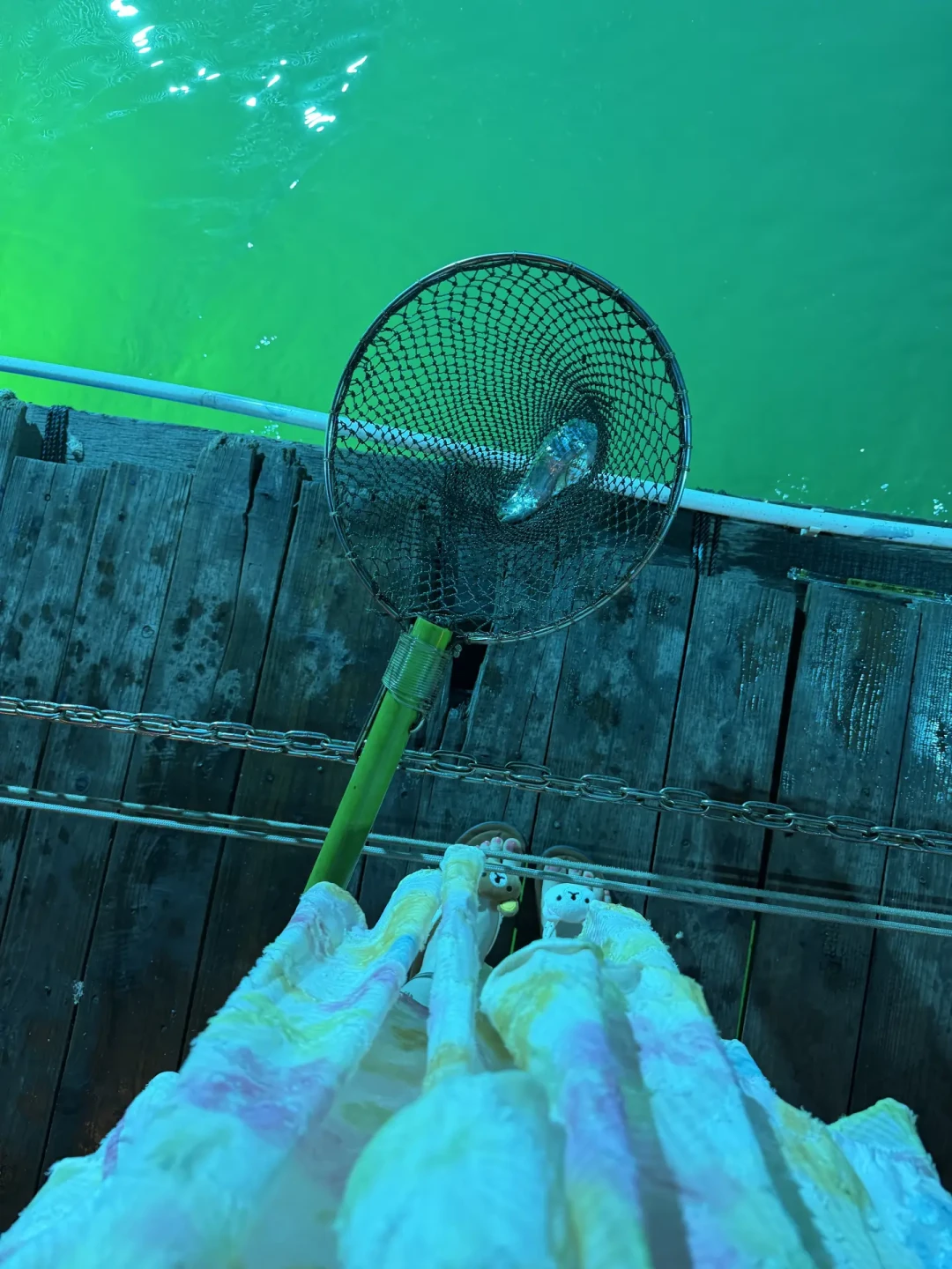 饵料还没到底就被啄光:翻了全网30多条讨论,治白条闹窝真管用的就三类