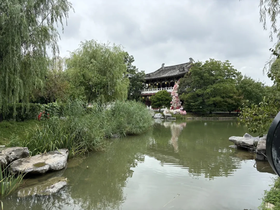 凭许嵩洛阳站门票享六大景区半价:这份福利,当天往返的人用不上,住一晚的最赚