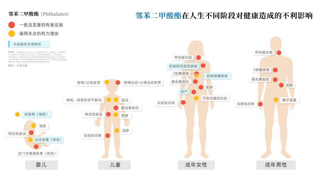开学前包书皮,今年别闭眼下单:3·15曝光超标147倍之后,我把4种材质、3个尺寸坑和“已买鉴定法”整理好了