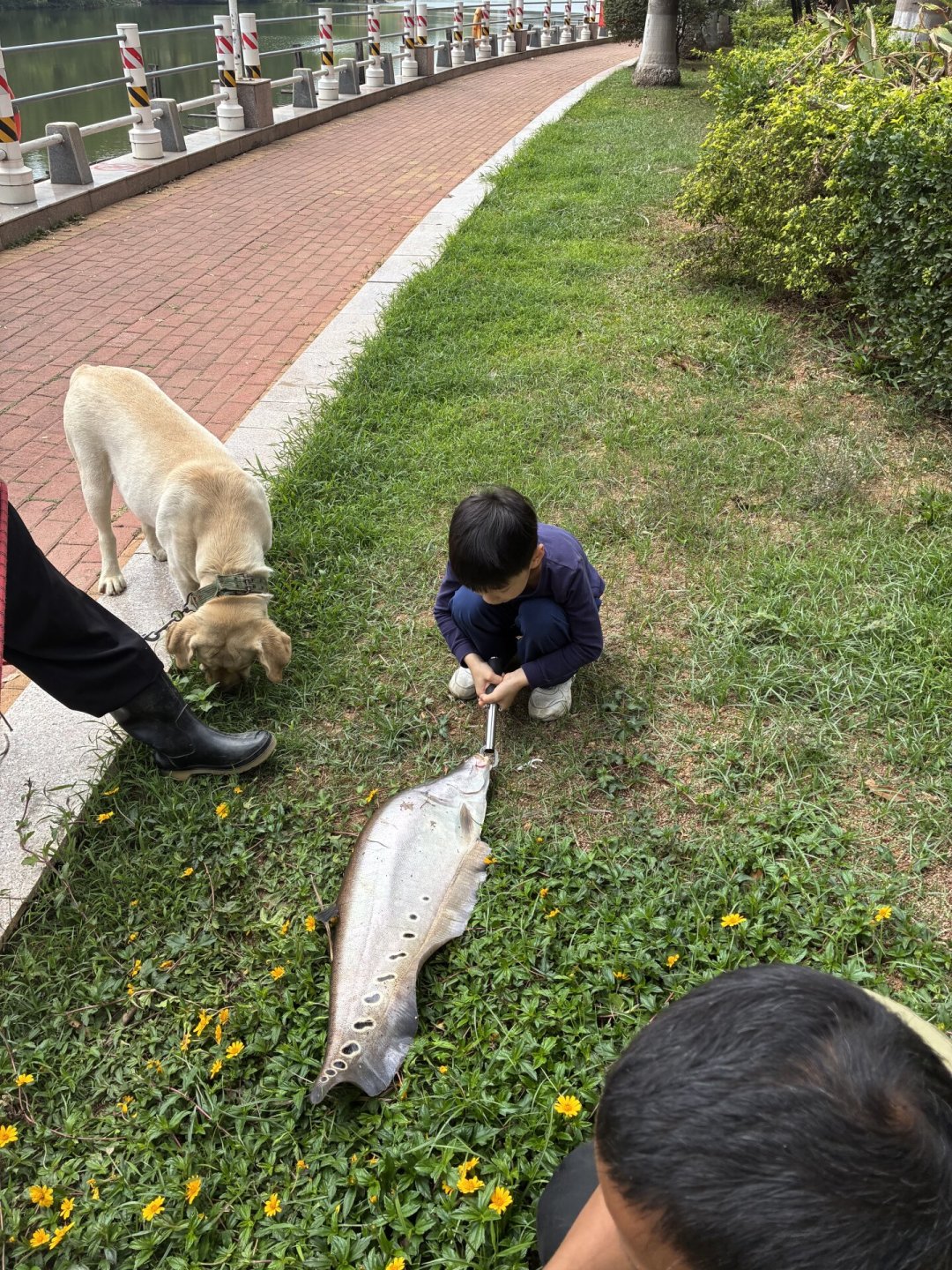 微物竿搏巨物,先断的往往不是竿:翻遍全网UL搏鱼和断竿记录,才搞清这上限到底在哪